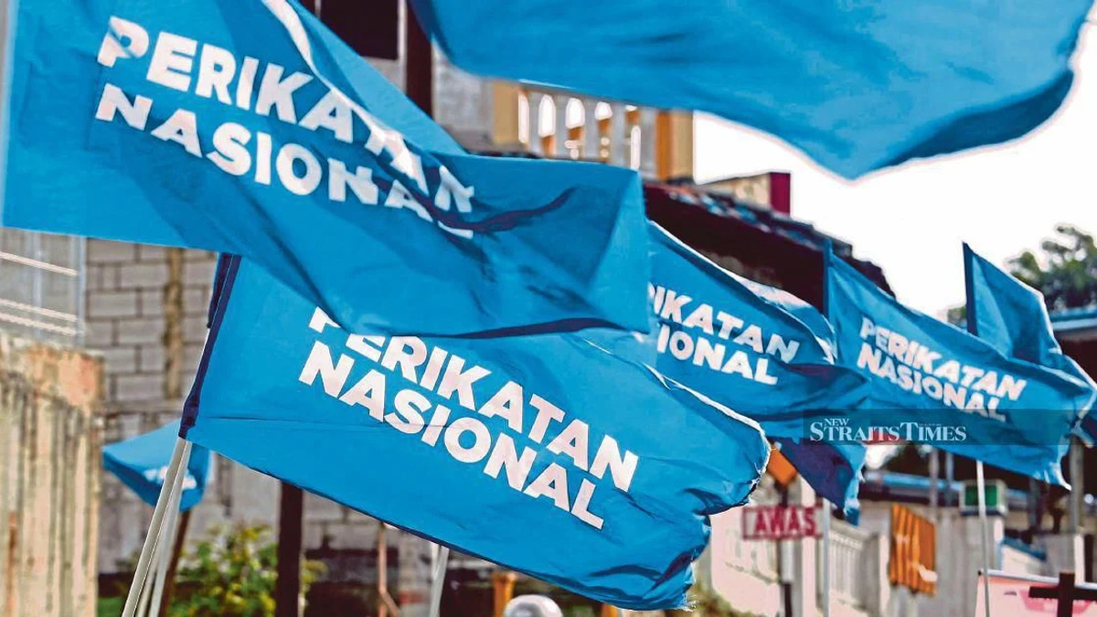 Only PN Chair Can Approve Coalition Logo Use, Pas Insists as Internal Tensions Deepen