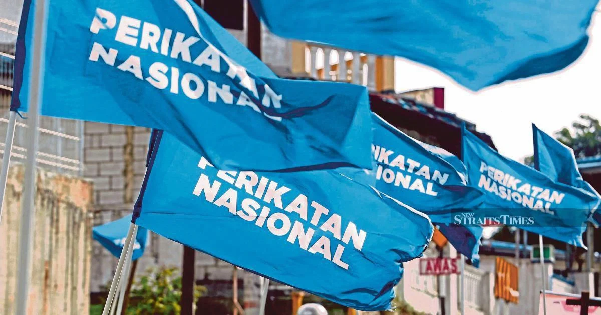Only PN Chair Can Approve Coalition Logo Use, Pas Insists as Internal Tensions Deepen