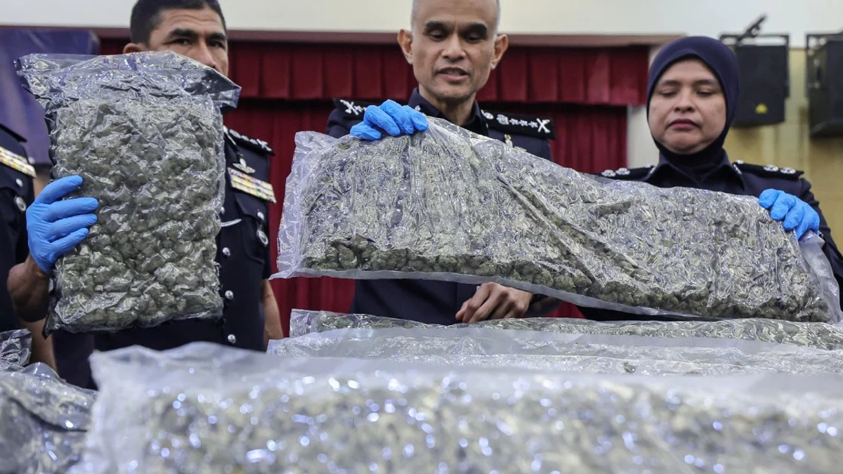 Police Bust Major Cannabis Operation at KLIA With 650kg Seizure and 38 Arrests