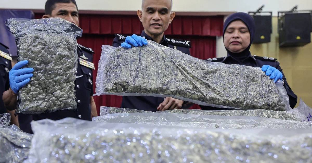 Police Bust Major Cannabis Operation at KLIA With 650kg Seizure and 38 Arrests