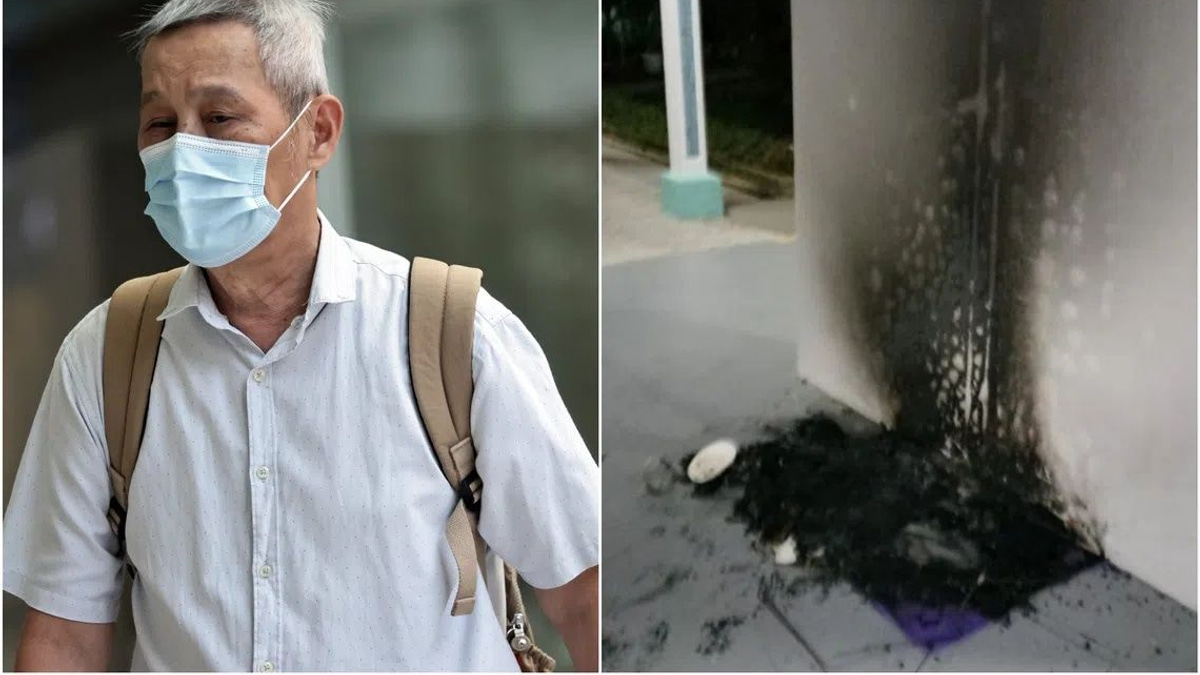 Singapore man jailed three months for torching community cat shelters at void deck