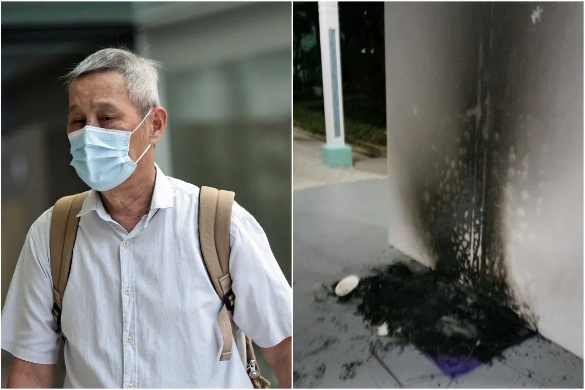 Singapore man jailed three months for torching community cat shelters at void deck