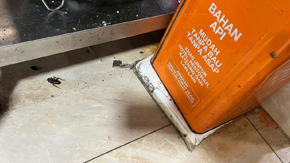 DBKL cracks down on hygiene violations: 74 notices issued, six Jalan Alor restaurants forced to close