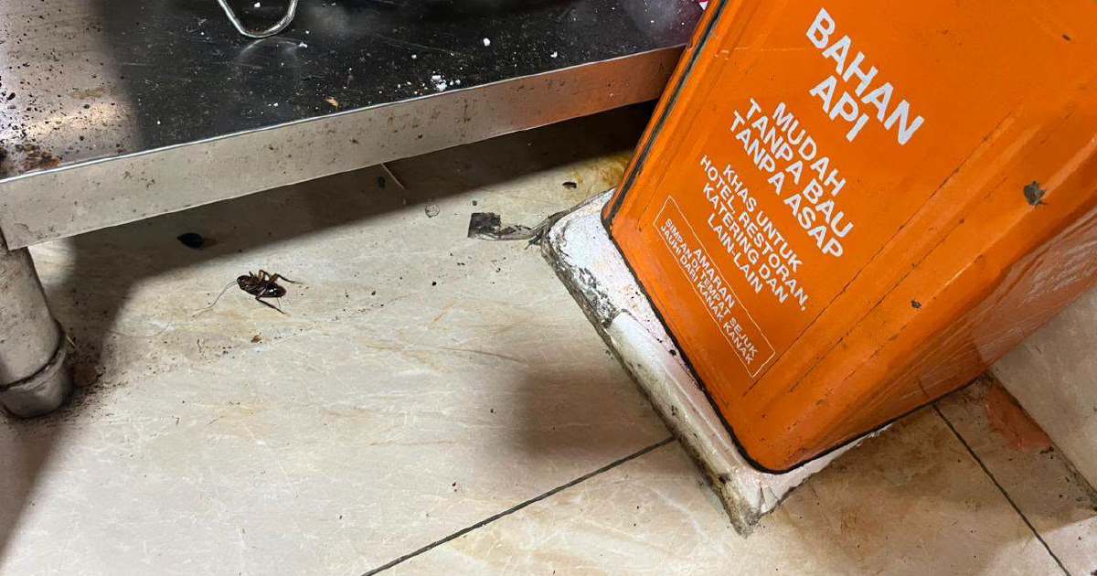 DBKL cracks down on hygiene violations: 74 notices issued, six Jalan Alor restaurants forced to close