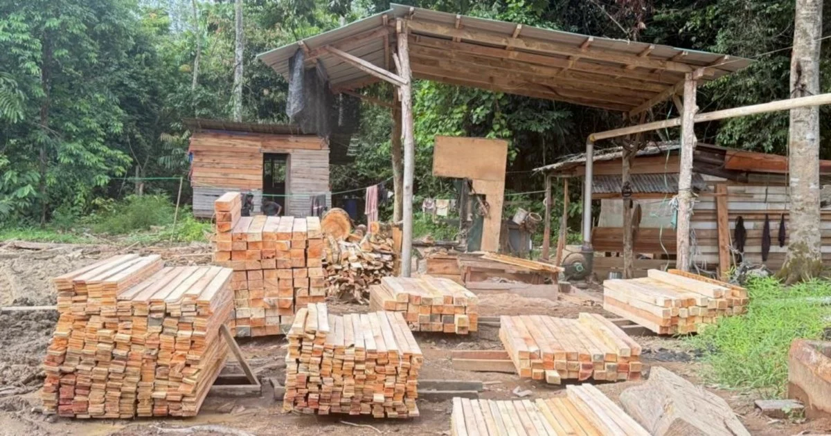 Five arrested as authorities bust illegal sawmill, seize RM1.69 million in Gua Musang