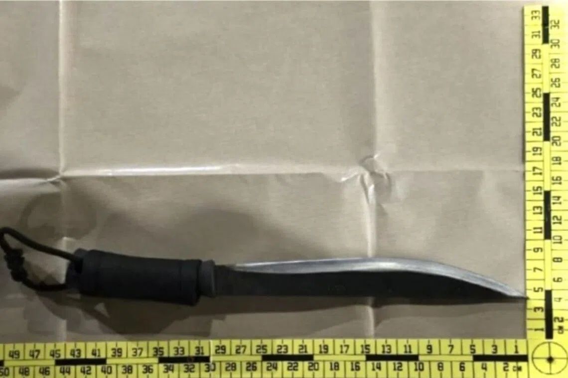 Four arrested in Singapore over abduction and parang threat linked to car rental dispute