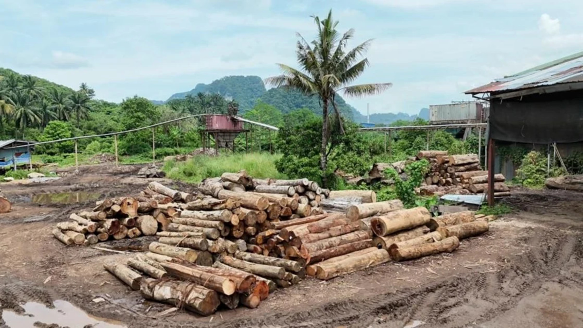Eleven arrested, RM2.43 million in timber and equipment seized in northern states crackdown